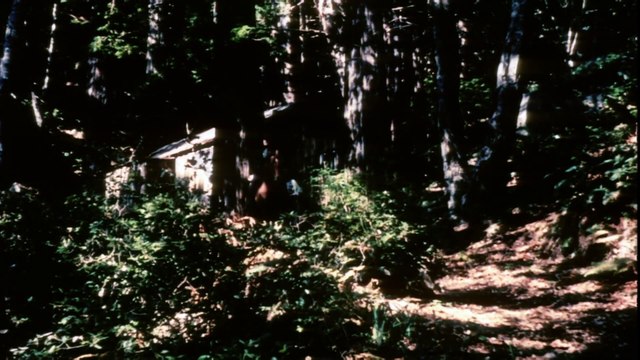 The Terror (1963) Roger Corman- Horror, Thriller Full Length Movie part 1/2