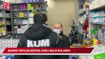 Corona tedavisinde kullanılan ürünlerin bulunduğu depoda canlı balık çıktı