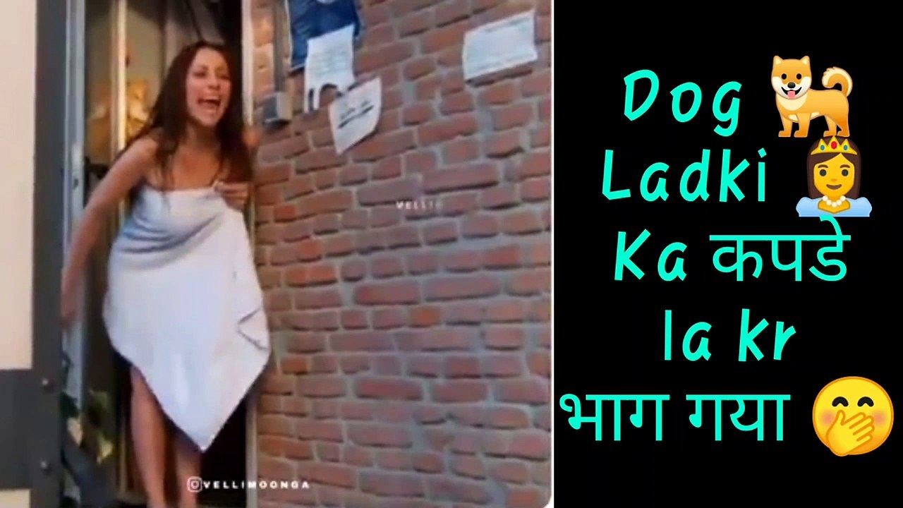 Dog  Ladki  Ka कपडे  la kr  भाग गया 