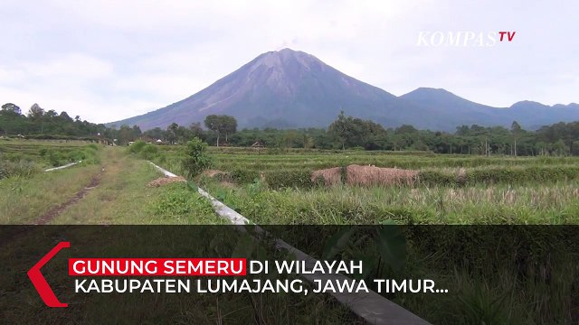 Gunung Semeru Masih Mengeluarkan Lava Pijar dan Asap Putih