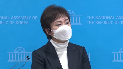 이언주 "선거 조직 한 달에 수억...불법 자금 불가피" / YTN