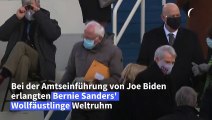 Sanders sammelt 1,8 Millionen Dollar mit Woll-Fäustlingen