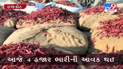 બેડી માર્કેટિંગ યાર્ડમાં મરચાંની આવક _tv9gujaratinews