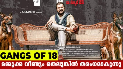 മമ്മൂക്കയുടെ ഹിറ്റ് ചിത്രം തെലുങ്കില്‍ | FilmiBeat Malayalam