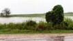 Lluvias en la zona soyera  de Chané,  afectada por las  lluvias