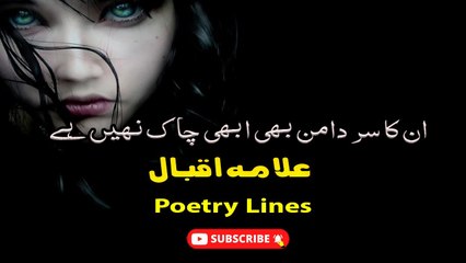 Dil Soz Se Khali Hai Bepaak Nhi Hai | Poetry Lines| Poetry Junction