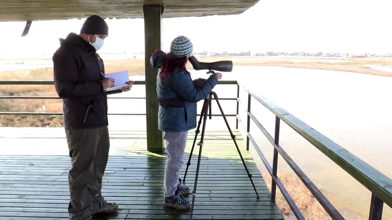 Göçmen kuşların uğrak durağı Çukurova Deltası, misafirleriyle 'cıvıl cıvıl' oldu