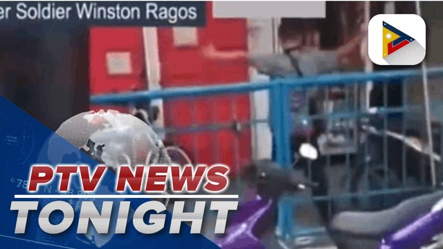 Senate seeks to put a stop to spate of killings