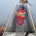 Mouse Trap Ideas