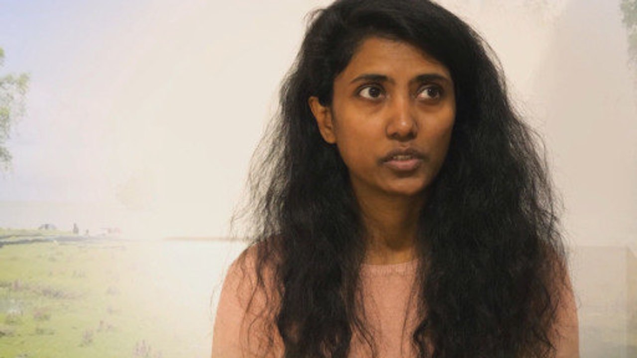 Umwelt-Horizonte: Bringt uns die Pandemie dem Klimaziel näher?