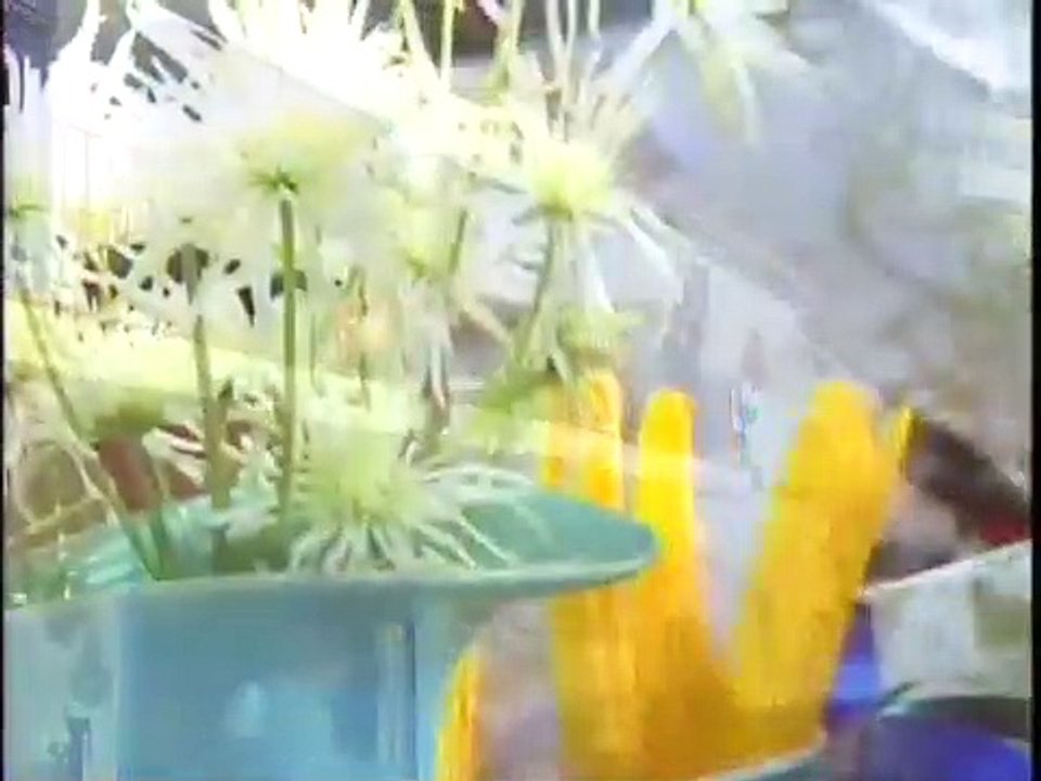 松田聖子 - 輝いた季節へ旅立とう