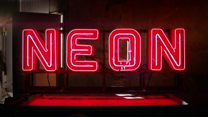 La pintora y el ladrón - Tráiler oficial VOSE