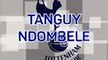 Tanguy Ndombele - From Zero to Hero