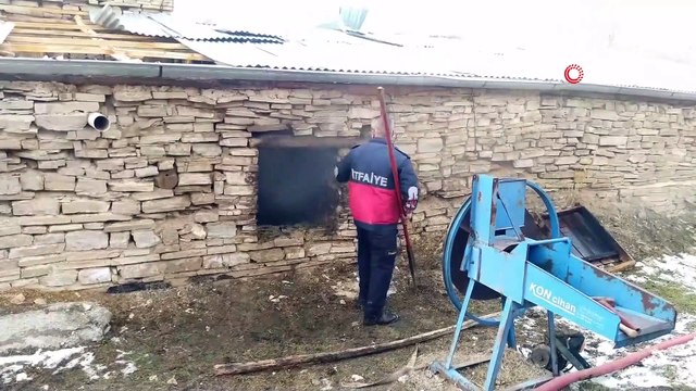 Ahırda çıkan yangında gebe inek telef oldu