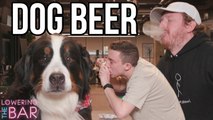 Lowering The Bar: Barstool Drinks Beer Brewed For Dogs