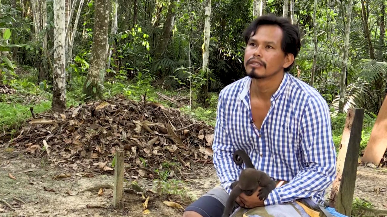 Líder de una comunidad indígena cuida a monos huérfanos, víctimas de la cacería ilegal