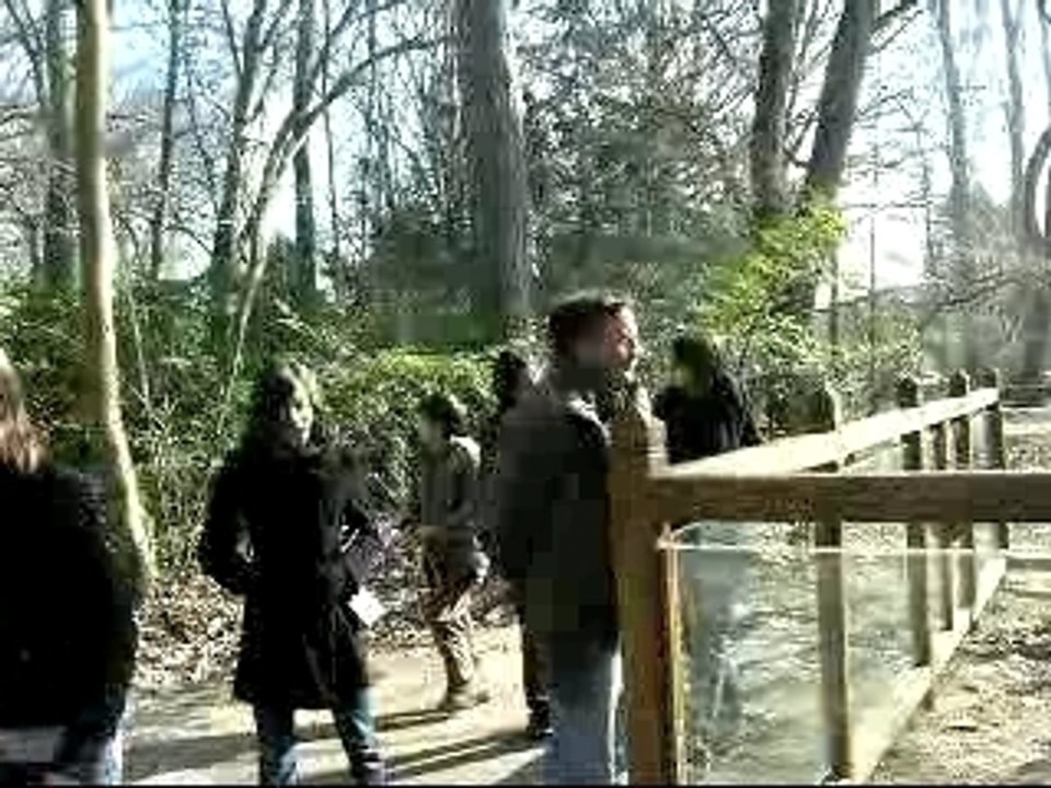 2008-02-Roue