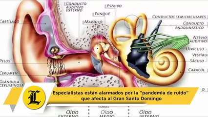 Especialistas están alarmados por la "pandemia de ruido" que afecta al Gran Santo Domingo