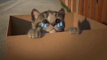 Lindo Gatito | Dibujos Animados Infantiles (Capítulo 2)