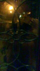 Amputee Faces Mama Bear and Cubs