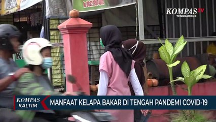 Manfaat Ramuan Kelapa Bakar Di Tengah Pandemi Covid-19