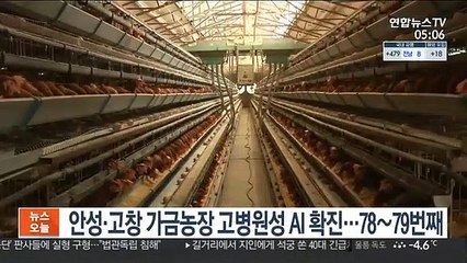 안성·고창 가금농장서 고병원성 AI 확진…78∼79번째