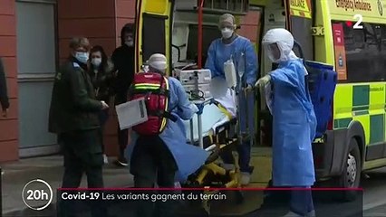 Covid-19 : les variants circulent de plus en plus en France