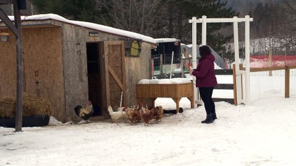 (30-01-2021) TOPO suivi deraillement