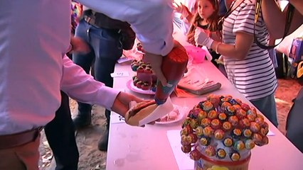 McGowan campaign hopes to tighten grip on political power