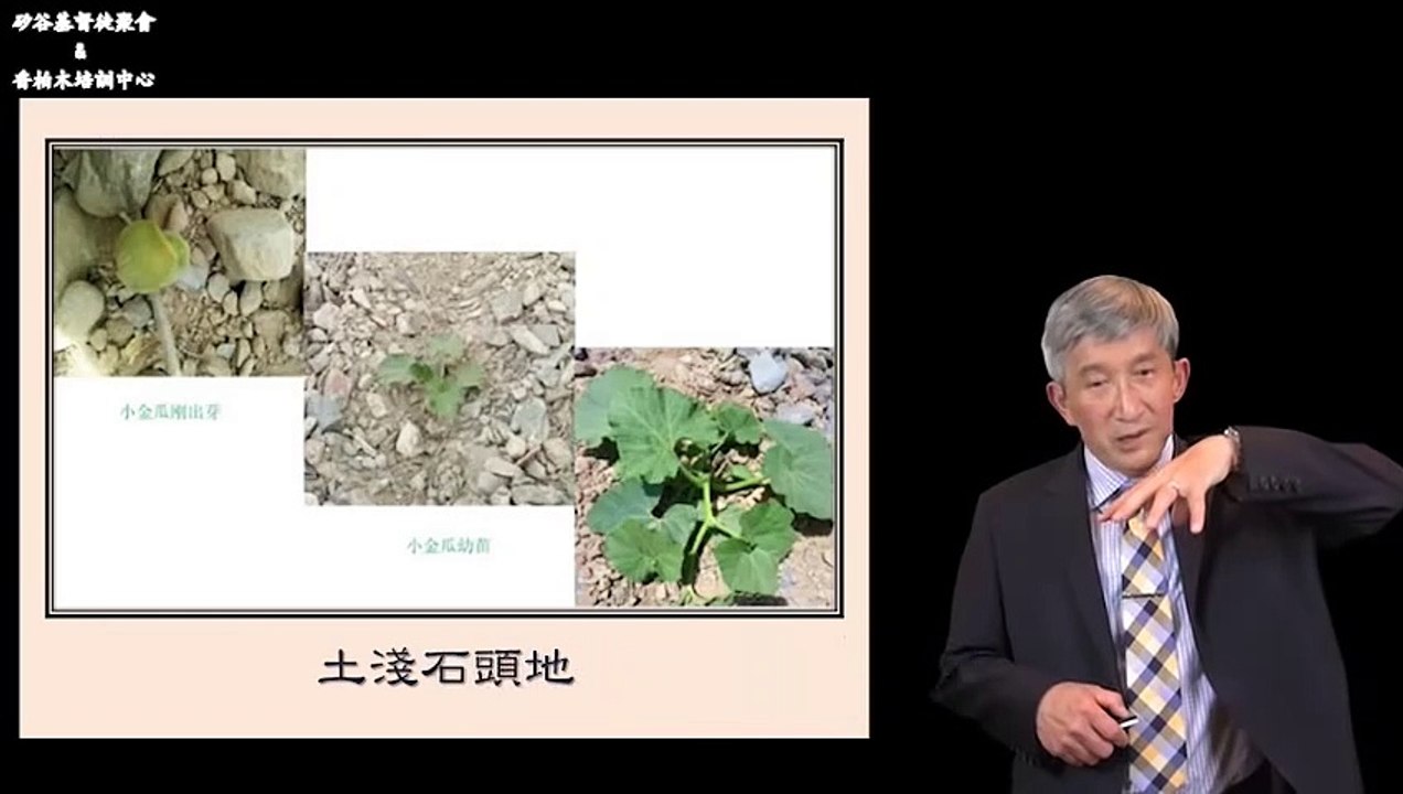 撒种的比喻中，不能结实的2种心土，2个拦阻生命成长的因素——于宏洁