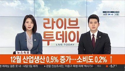 [속보] 12월 산업생산 0.5% 증가… 소비도 0.2%↑