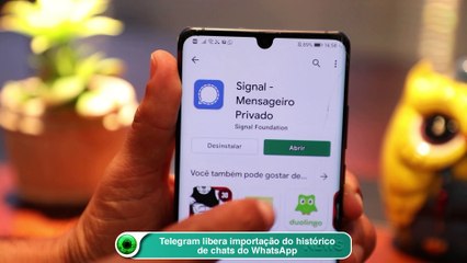 Telegram libera importação do histórico de chats do WhatsApp