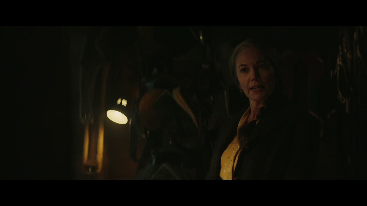 IR Z Direct Interview: Thomas Bezucha For "Let Him Go" [Universal Studios Home Entertainment] - Part II