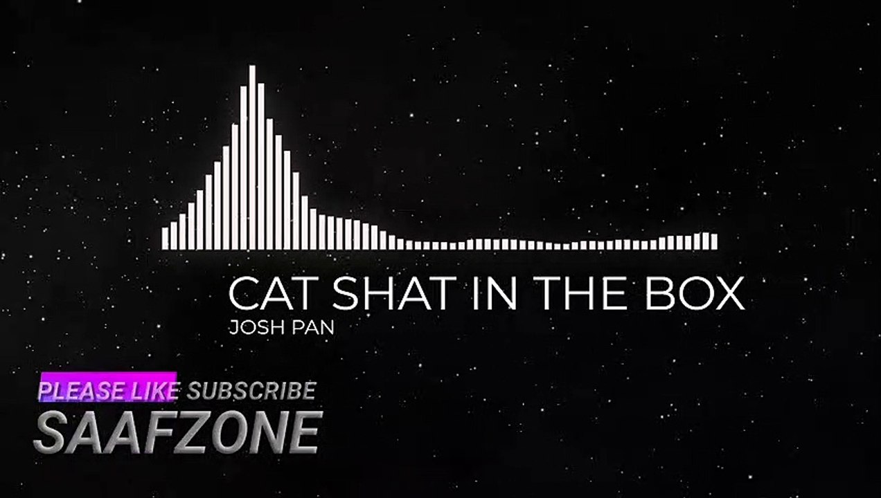 CAT SHAT IN THE BOX -- MIND RELAXING MUSIC