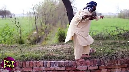 Dogs vs Man Fight Funny __ dogs funny video.