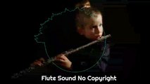 Very emotional Sad flute No Copyright issue Free music|| Free flute  music.