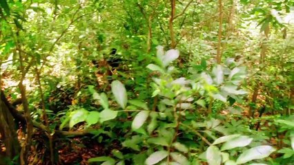 GÊNESIS  28/01/2021 Capitulo 8 Parte Única HDTV Completo