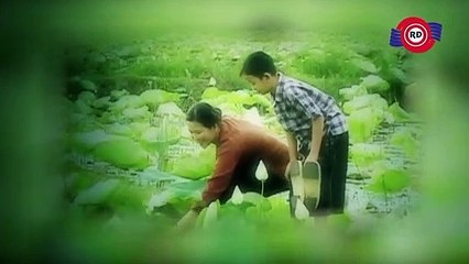 Phận Mồ Côi ( Karaoke ) - Quách Thành Danh