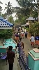 Elephant attack in the village