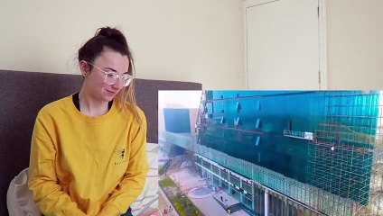 - EMERGING INDIA  TRAILER 13  WORLDS NEXT INVESTMENT DESTINATION_ Rebecca Reacts