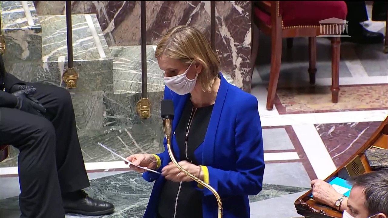 2ème séance : Questions au Gouvernement ; Approbation de la décision (UE, Euratom) 2020/2053 du Conseil du 14 décembre 2020 ; Lutte contre la maltraitance animale - Mardi 26 janvier 2021