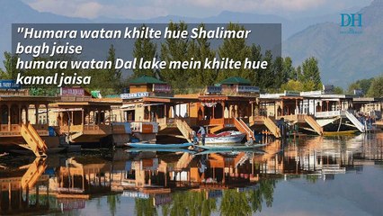 Poetic Budget speeches from over the years