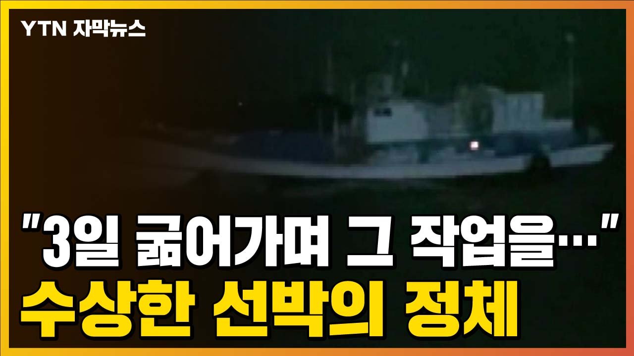 [자막뉴스] "몇천만 원 벌 수 있으니까..." 신안 앞바다 수상한 선박의 정체 / YTN