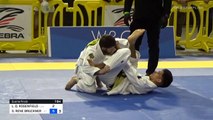 2020 IBJJF Pans - Rene Rivera vs Lee Rosenfield