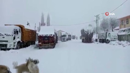 - Tunceli'de kar bastırdı, 160 köy yolu kapandı