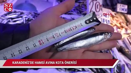 Karadeniz’de hamsi avına ‘kota’ önerisi