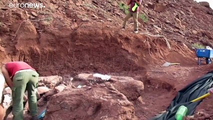 Hallados los restos de un nuevo titanosaurio, el dinosaurio más grande jamás descubierto