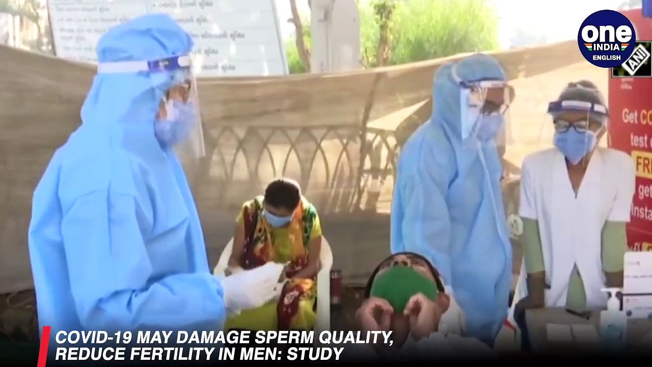 Covid-19 may target the male reproductive system and reduce fertility, research shows| Oneindia News