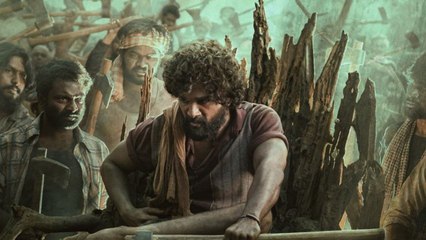 Pushpa : అటవీ ప్రాంతం లో షూటింగ్.. షూటింగ్ స్పాట్ లో విషాదం.. | Allu Arjun