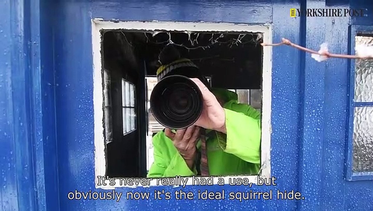 Low Mill Squirrels